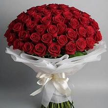 Букет 101 Красная роза Блэк Мэджик в Кобылках