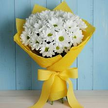 Букет цветов из:  Хризантемы в Кобылках