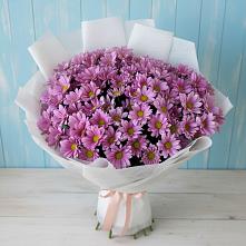 Букет цветов из:  Хризантемы в Кобылках