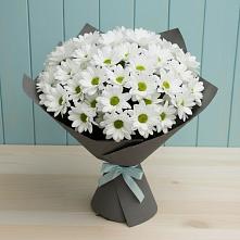 Букет цветов из:  Хризантемы #REPLACE_PRED# Кобылках