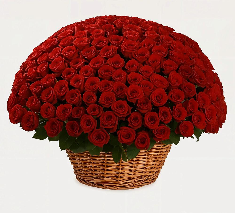 Премиум букет из: Розы в Кобылках