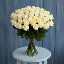 Букет 51 Белая роза Эдлесс Лав #REPLACE_PRED# Кобылках