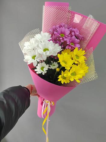 Букет цветов из: Хризантемы в Кобылках