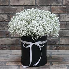 Цветочная композиция из Гипсофила в шляпной коробке в Кобылках