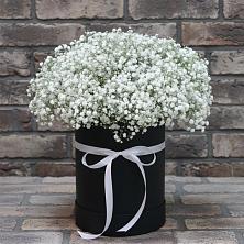 Цветочная композиция из Гипсофила в шляпной коробке в Кобылках
