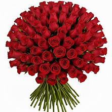 Букет Красные розы Чери Лав в Кобылках