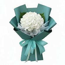 Букет цветов из:  Гортензия в Кобылках